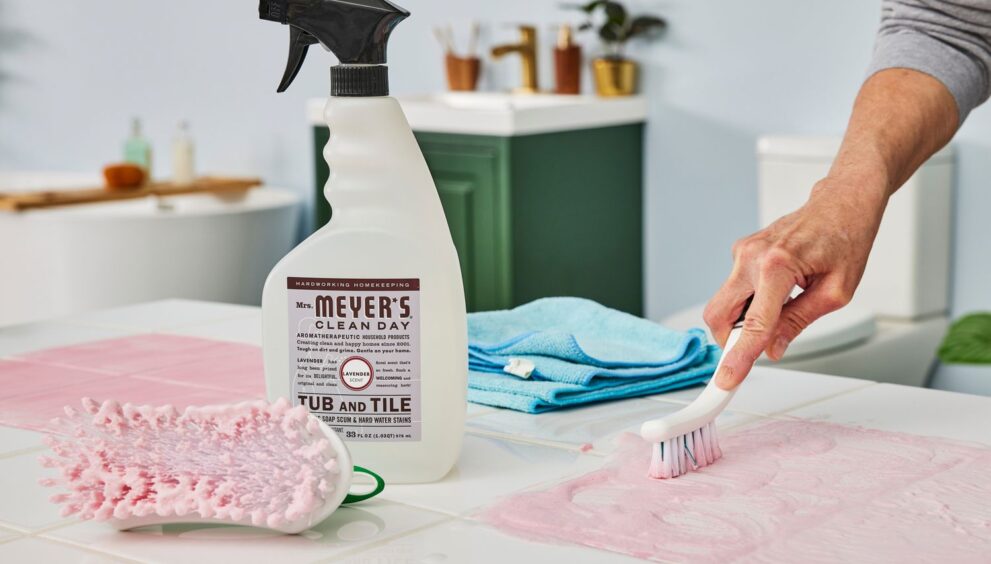 Ceramic tile cleaning products